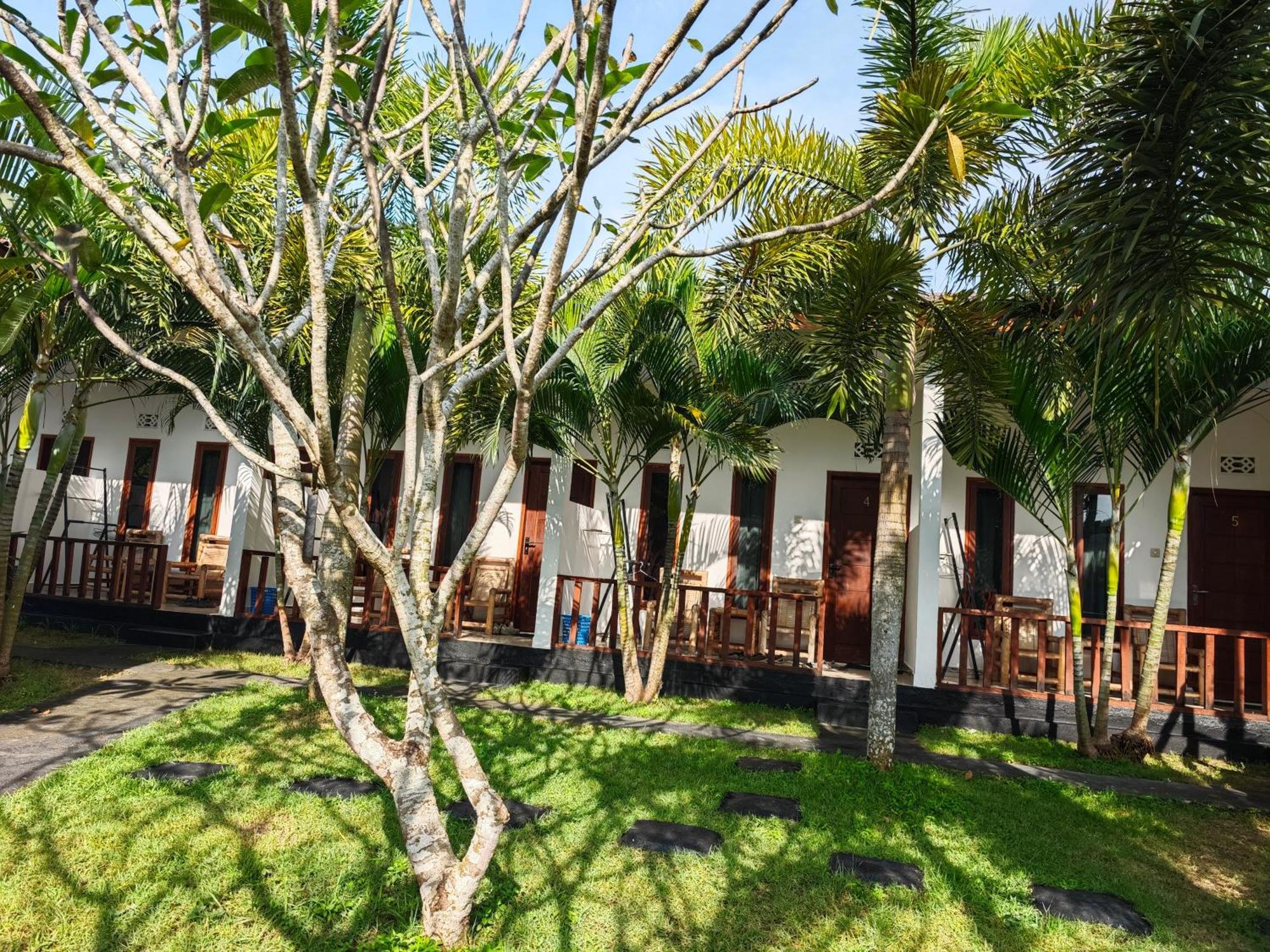 Surf Camp 79 Hotel Kuta  Exterior photo